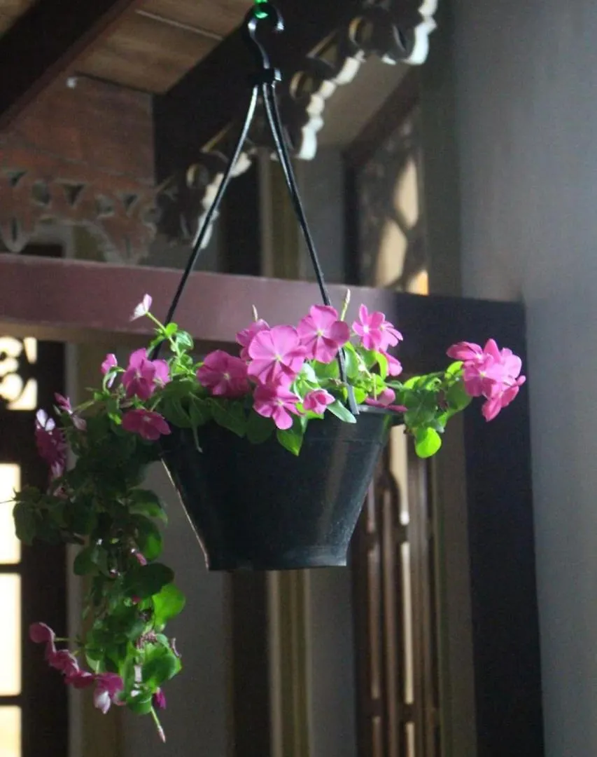 Calvin'S Villa Negombo